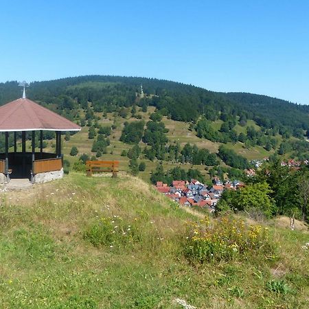Ferienhaus Am Loeffelberghuettchen Gießübel Eksteriør bilde