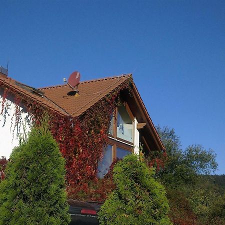 Ferienhaus Am Loeffelberghuettchen Gießübel Eksteriør bilde