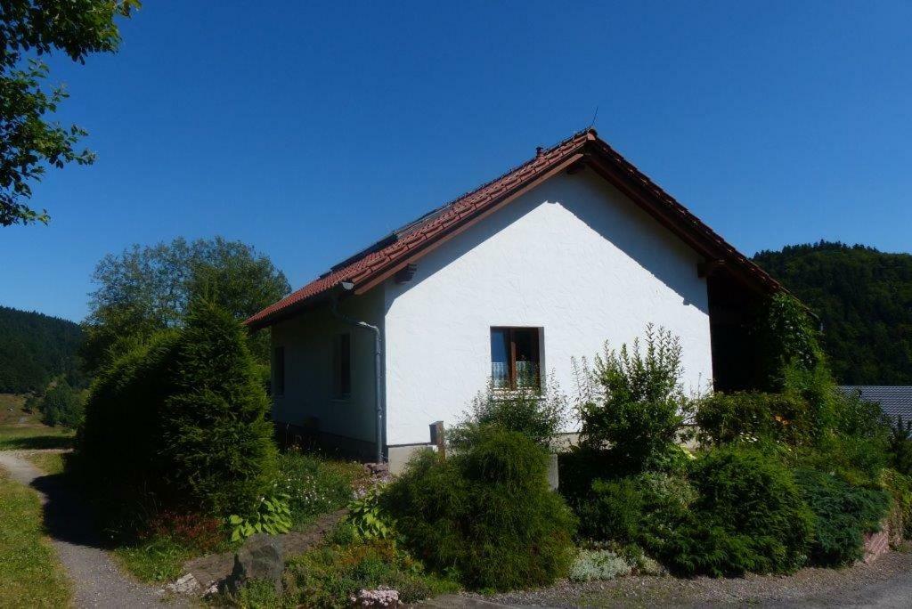 Ferienhaus Am Loeffelberghuettchen Gießübel Eksteriør bilde